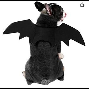 Pet bat wings